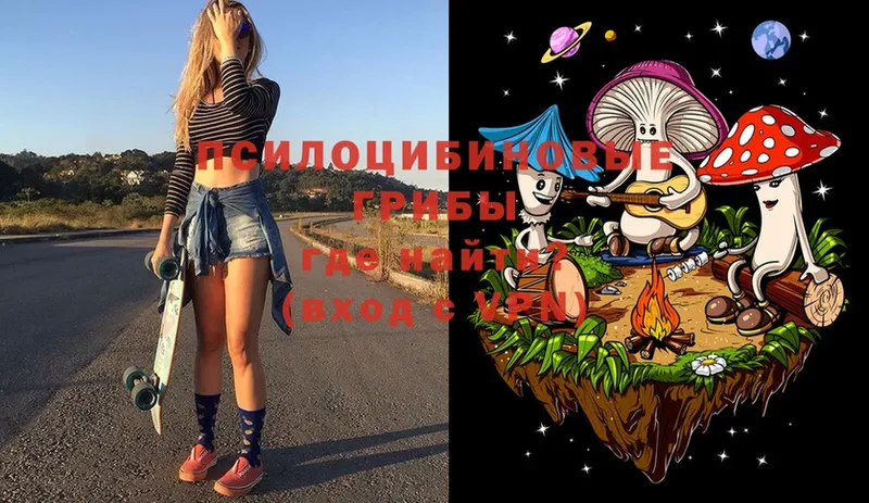 Галлюциногенные грибы Psilocybe  Ефремов 